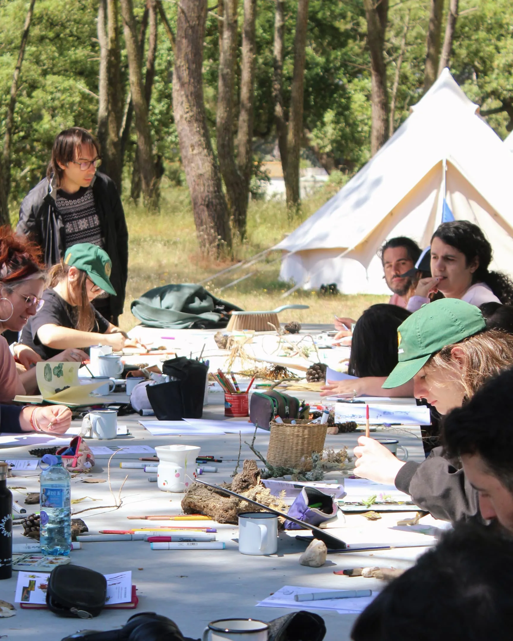 Personas trabajando en mesas bajo los pinos junto a una jaima